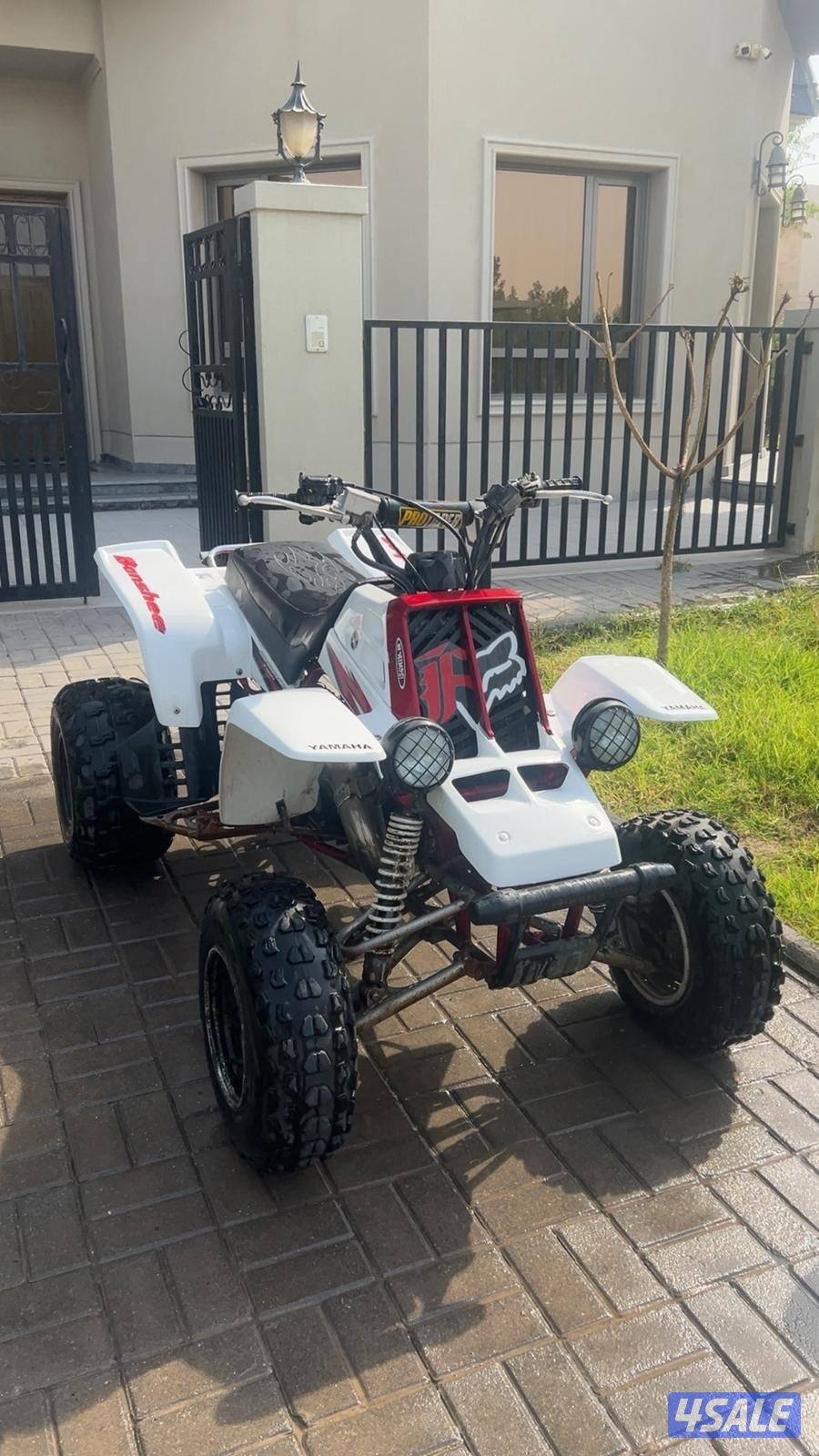 بانشي نظيف جدا0