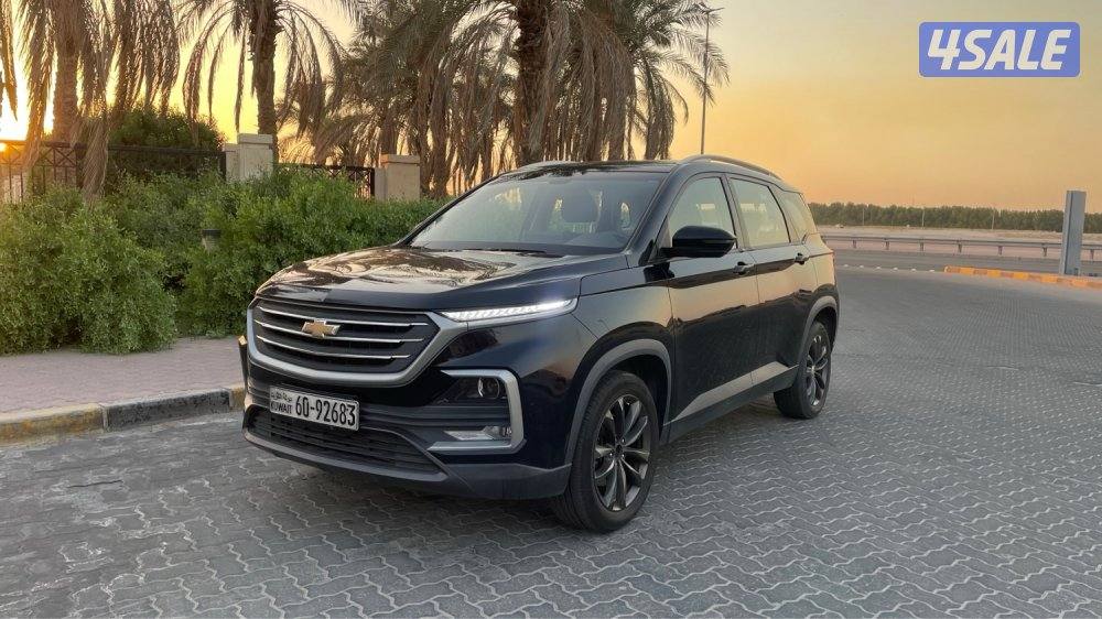 للمعاينة العارضية الحرفية0