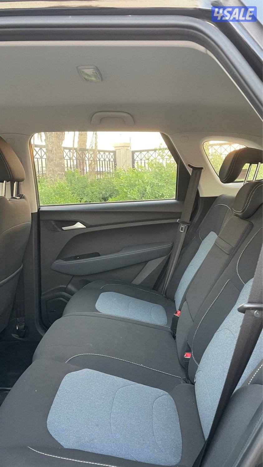 للمعاينة العارضية الحرفية7