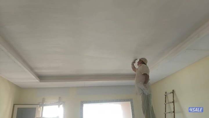 جبس بورر بارتيشن ديكور جبس باب خشب2