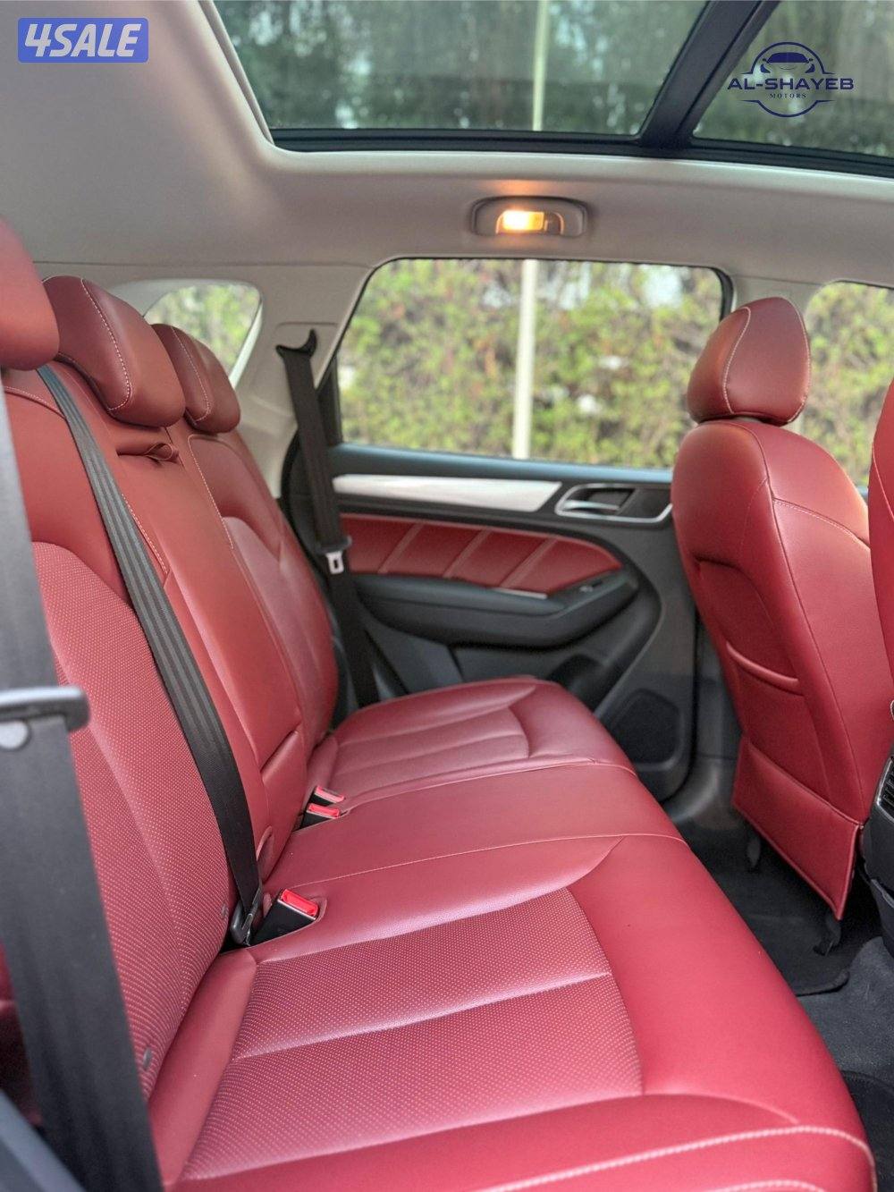 Mg RX5 2020 صبغ وكالة اعلى فئة8