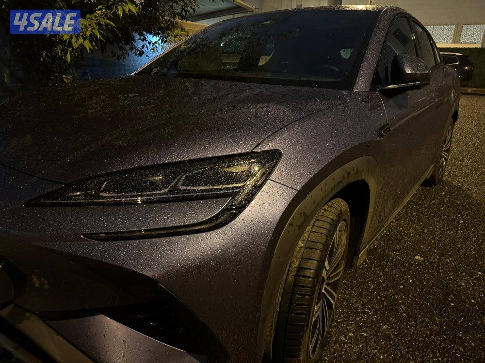 بي واي دي سيليون ٧ BYD sealion 77