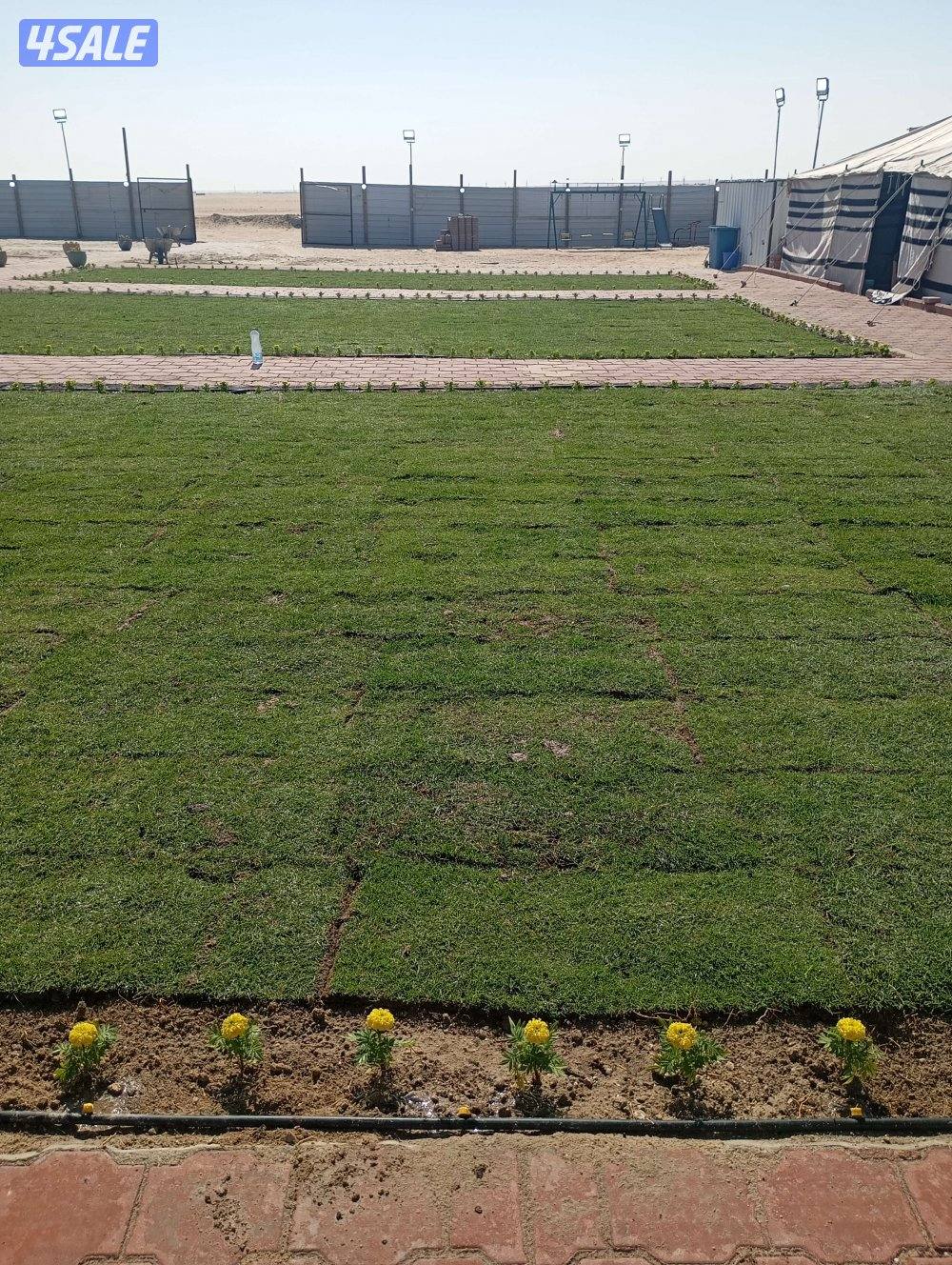 رأفت تنسيق الحدائق0