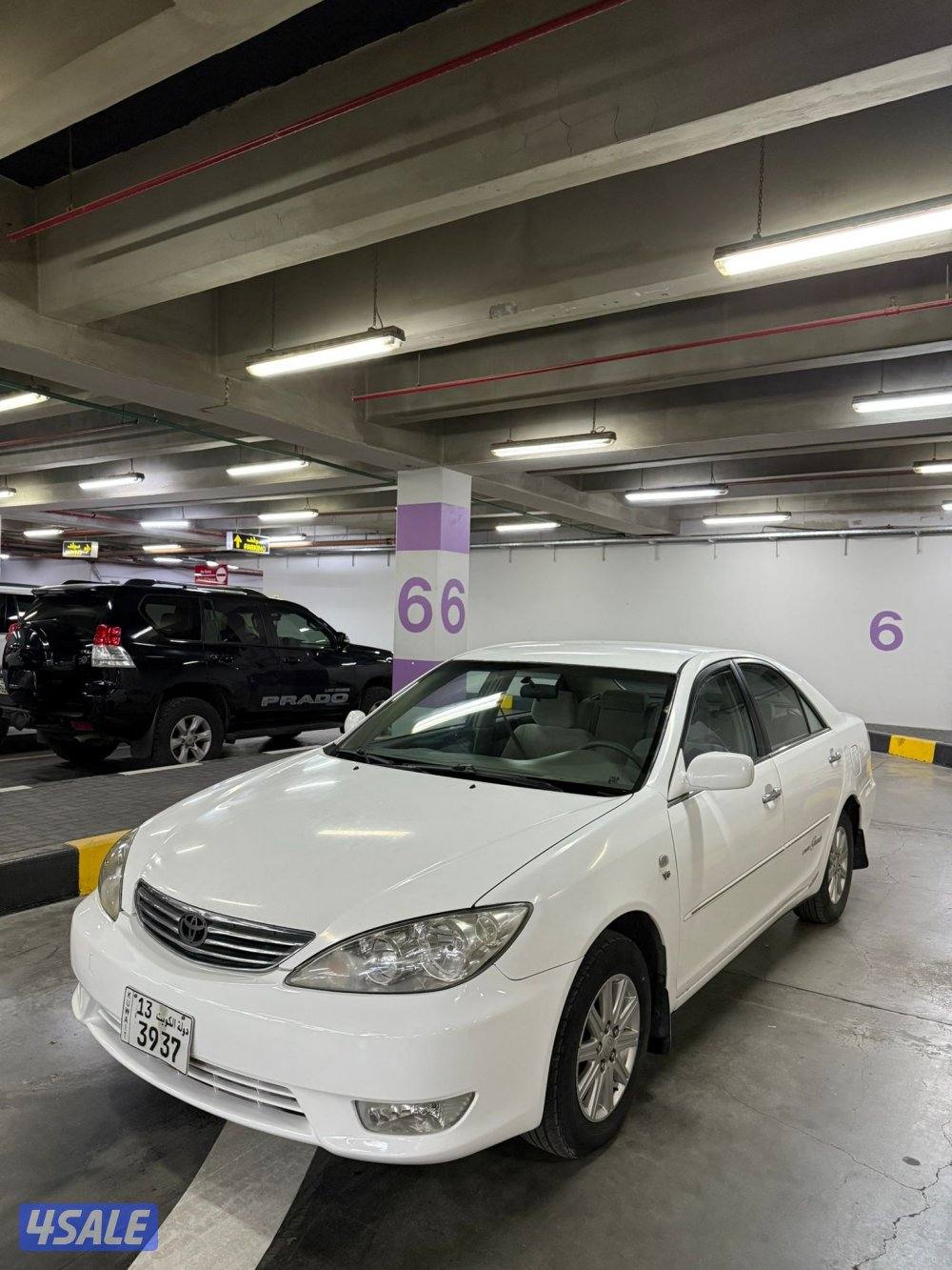 6V شرط الفحص 20050