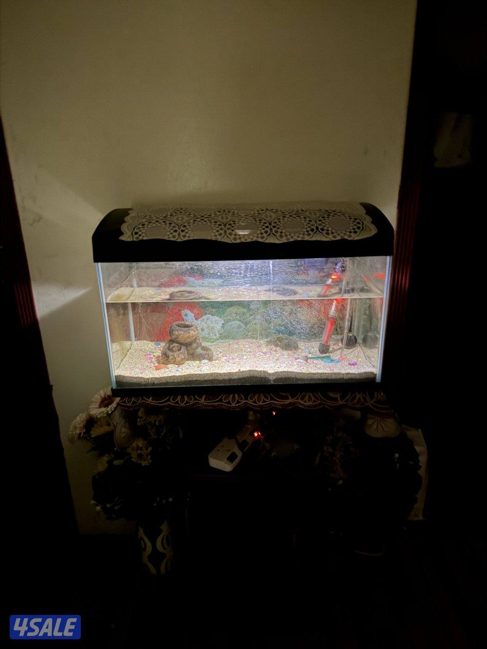 Aquarium2