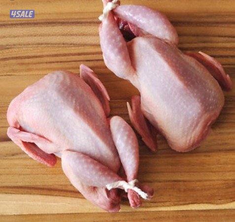 حمام مصري فريش0