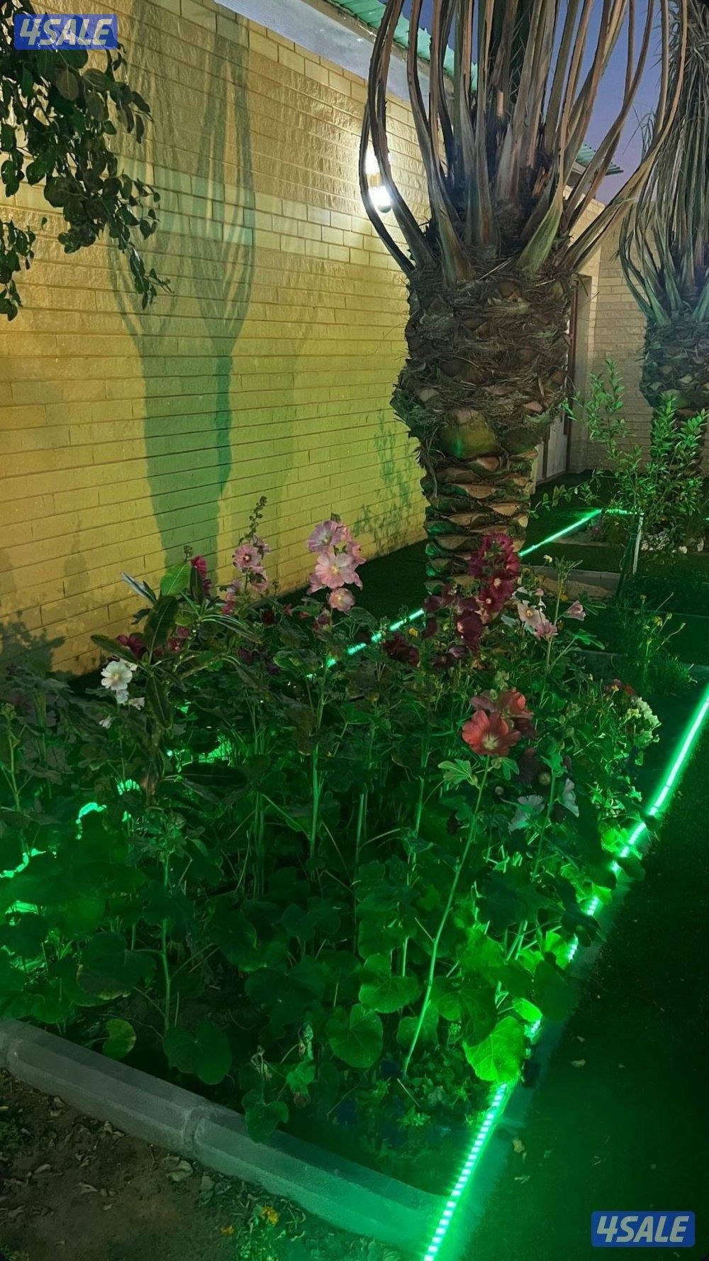 أستراحة للإيجار اليومي للعائلات5