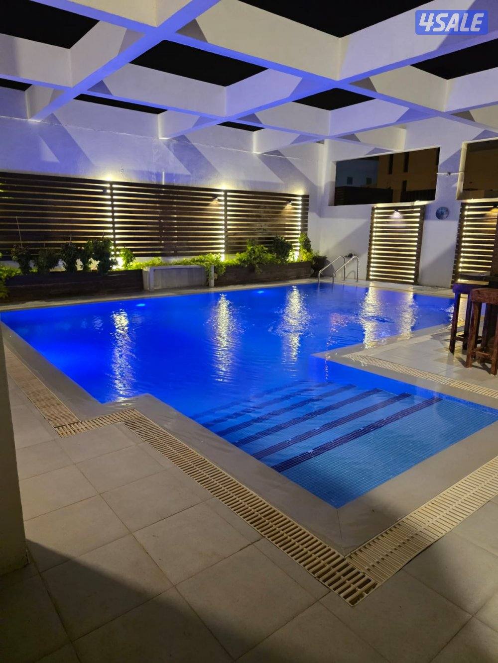 لا يوجد  سنوي0