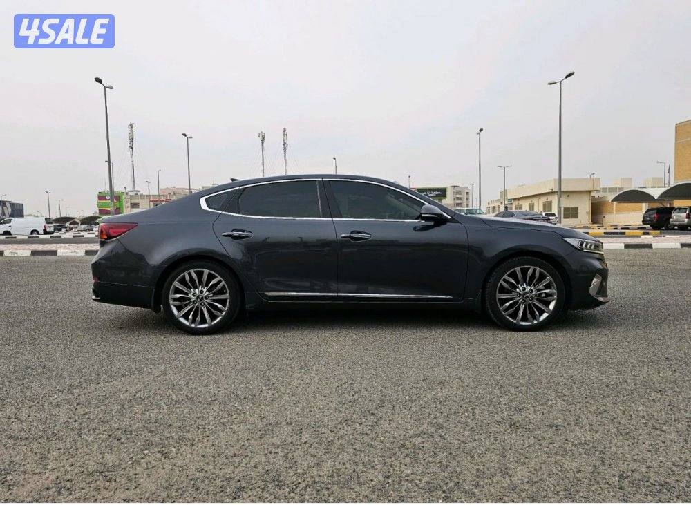 كادينزا 2020 المالك الاول صبغ وكاله1