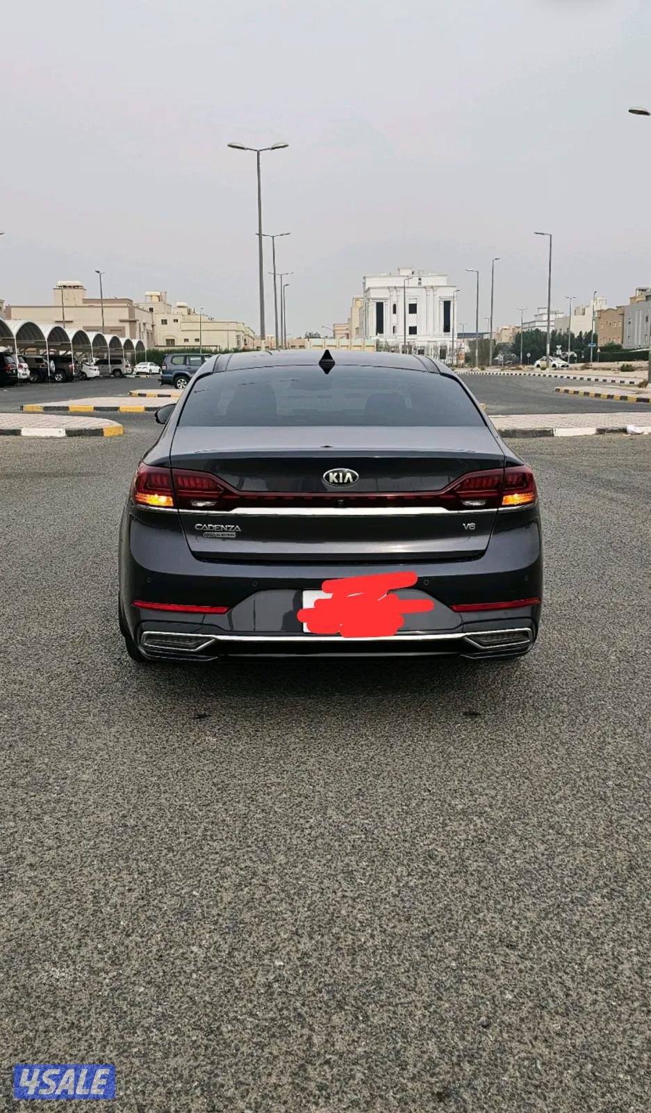 كادينزا 2020 المالك الاول صبغ وكاله3