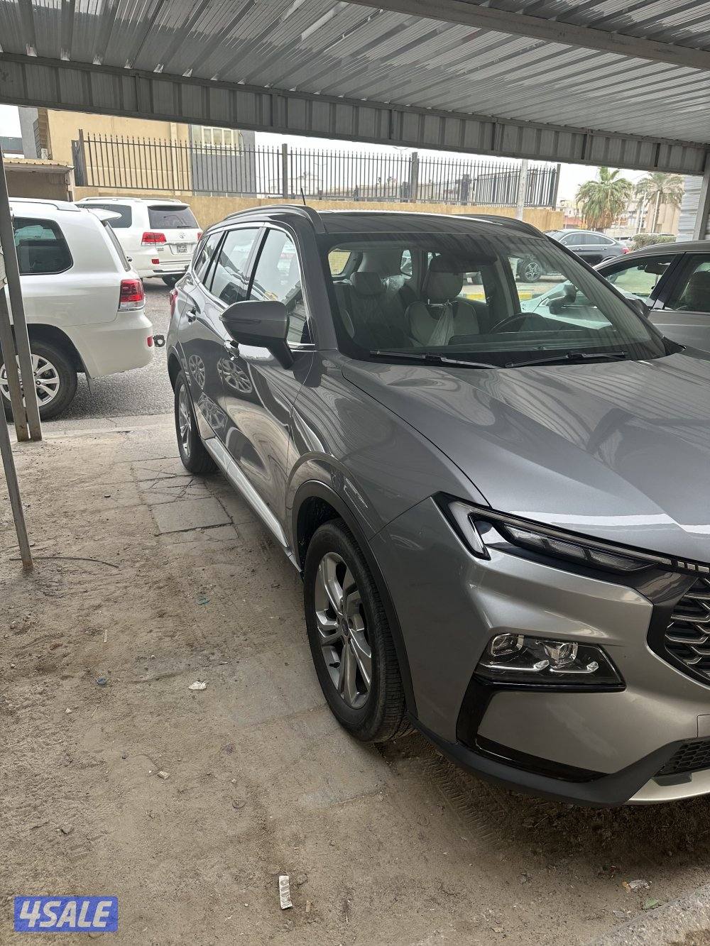 فورد تريتوري 20241