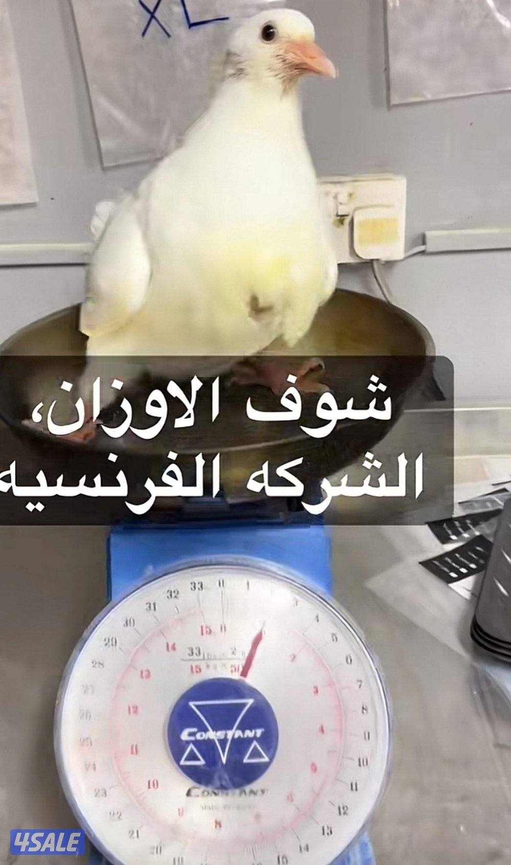 يوجد خدمة توصيل1