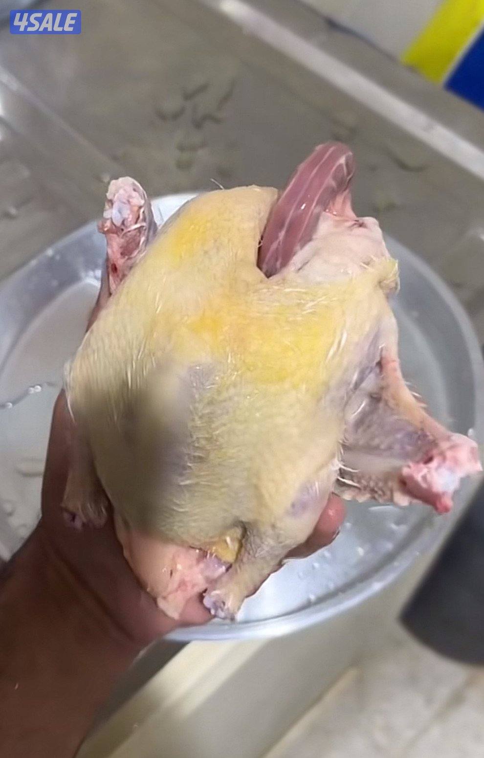 يوجد خدمة توصيل2