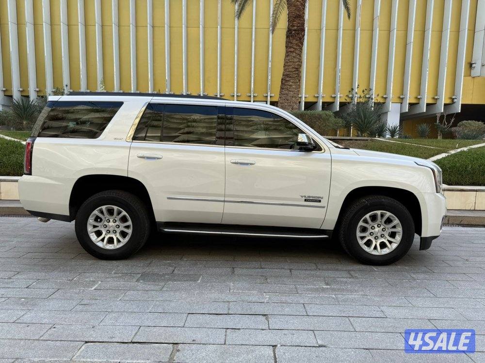 بريميوم صبغ الوكالة بحالة ممتازة6