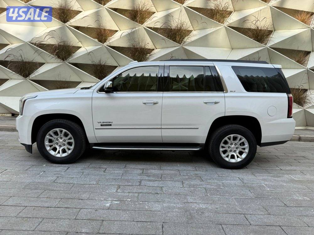 بريميوم صبغ الوكالة بحالة ممتازة5