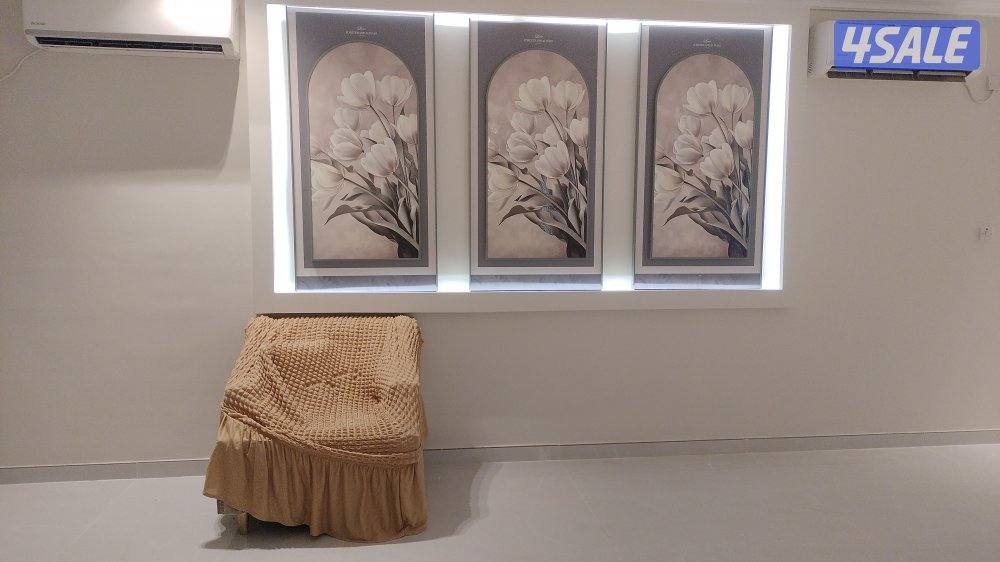 اصباغ وديكورات9