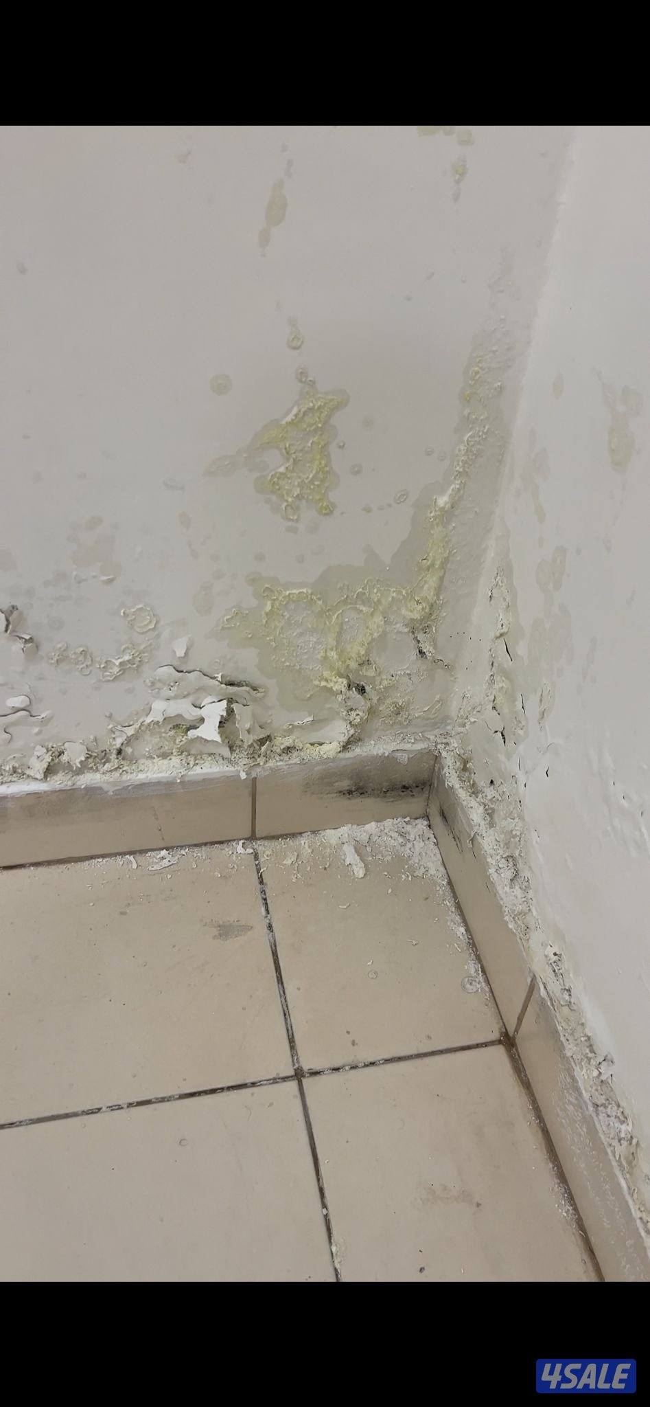 تصليح خرير كشف الخرير كشف تسريبات المياة جهاز كشف الخرير باحدث الاجهزة11