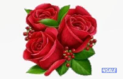 مدرس رياضيات مراجعة حق اختبارات الفاينال0