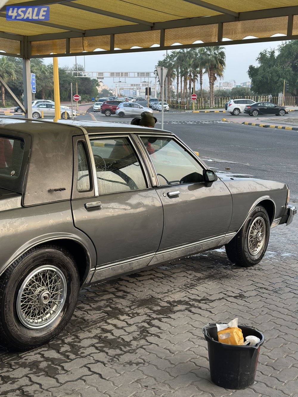 شفر كابرس LS بروقهام 19892