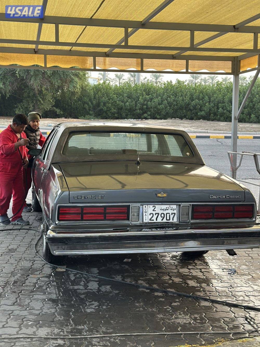 شفر كابرس LS بروقهام 19893