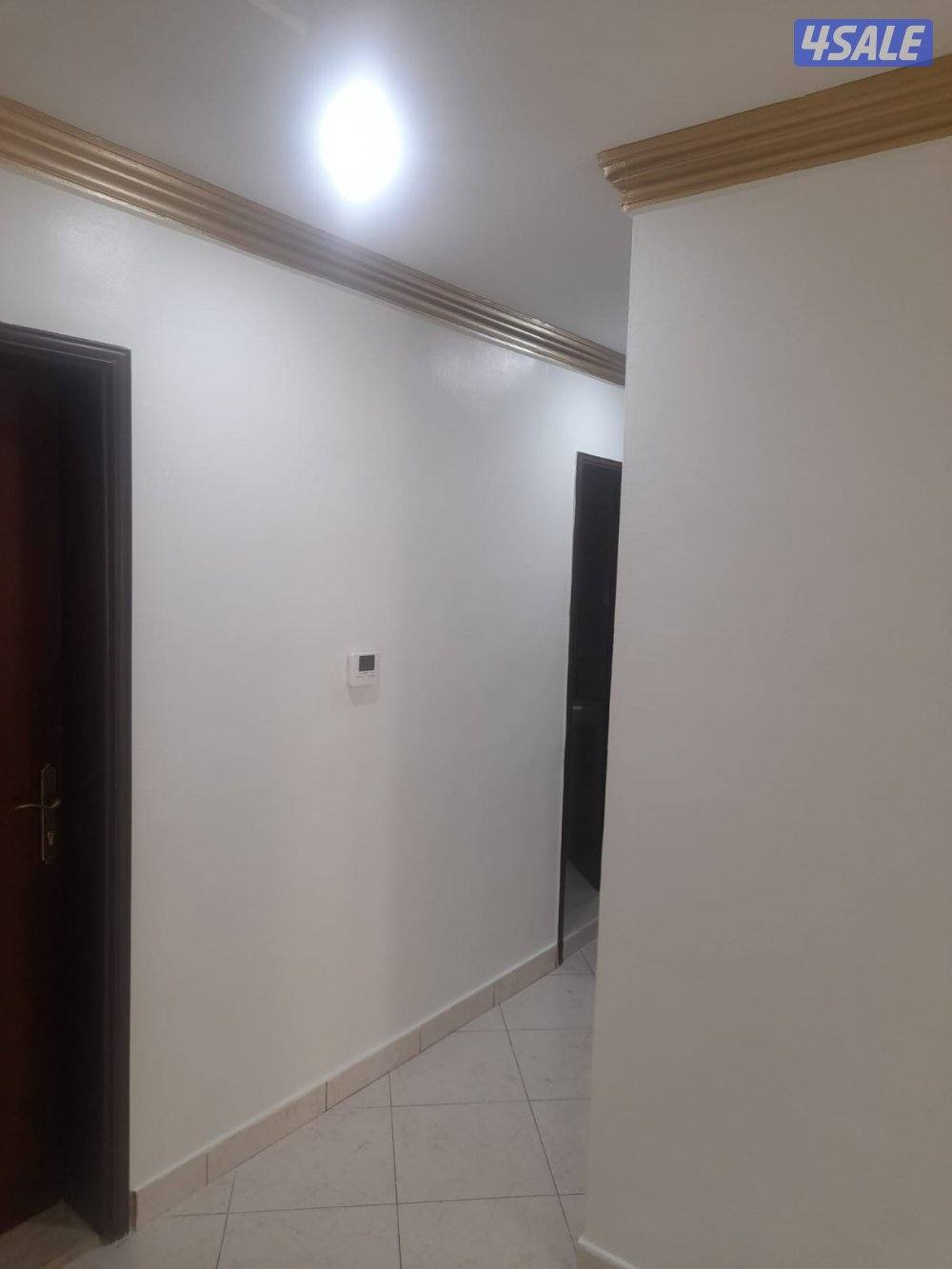 اصباغ ابو على أسعار مناسبة6