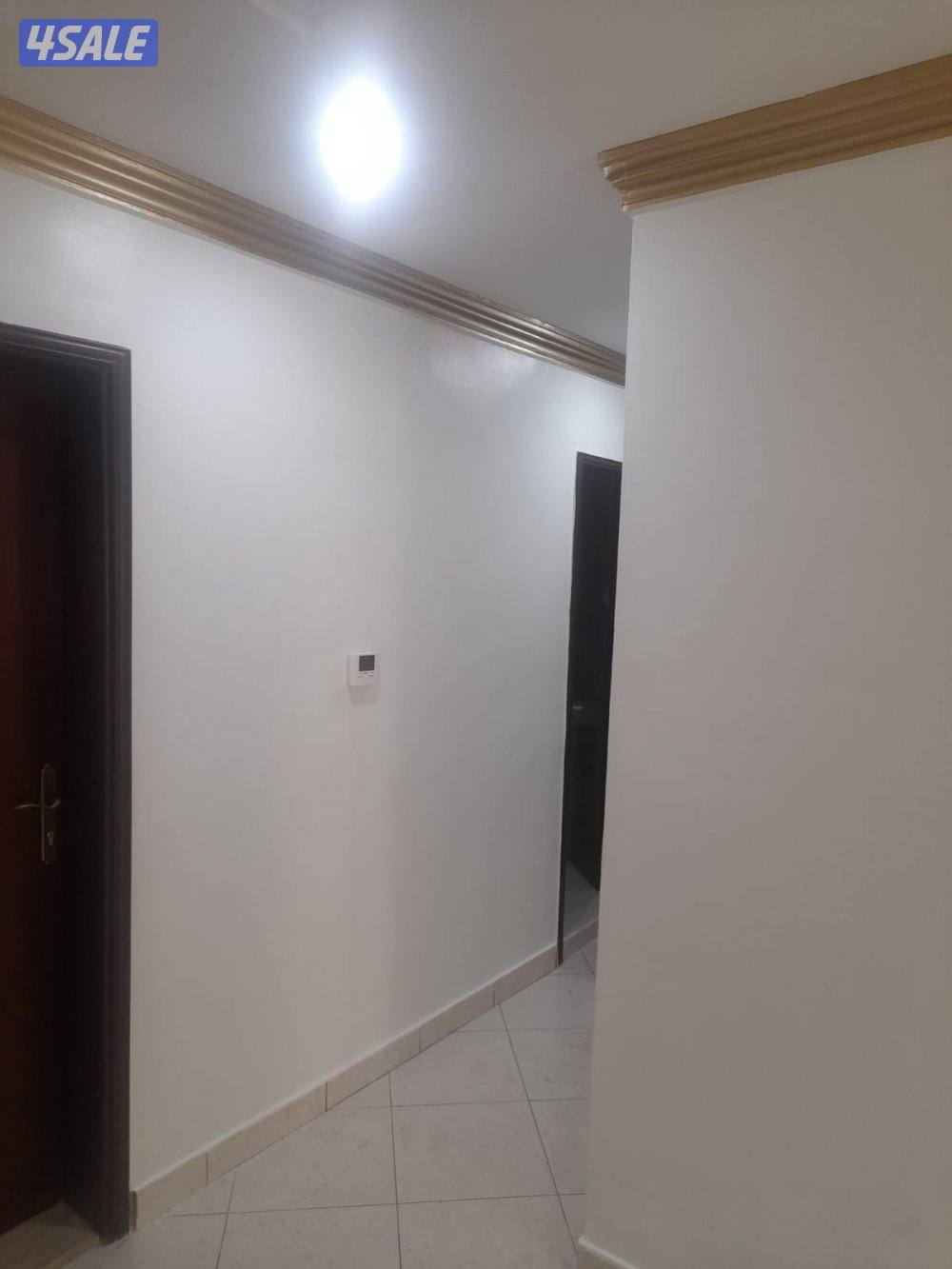 اصباغ ابو على أسعار مناسبة8