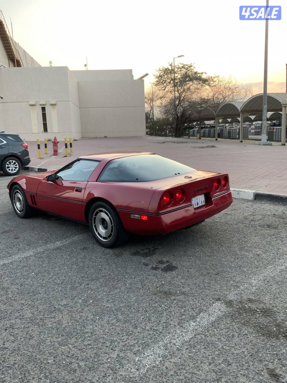 كورفيت ١٩٨٤ ماشي ٢٩ ألف شرط الفحص2