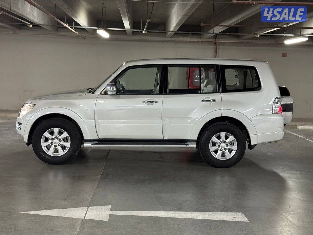 صبغ وكاله ٢٠١٩3