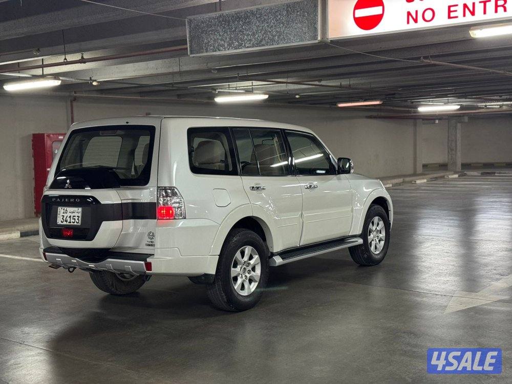 صبغ وكاله ٢٠١٩4