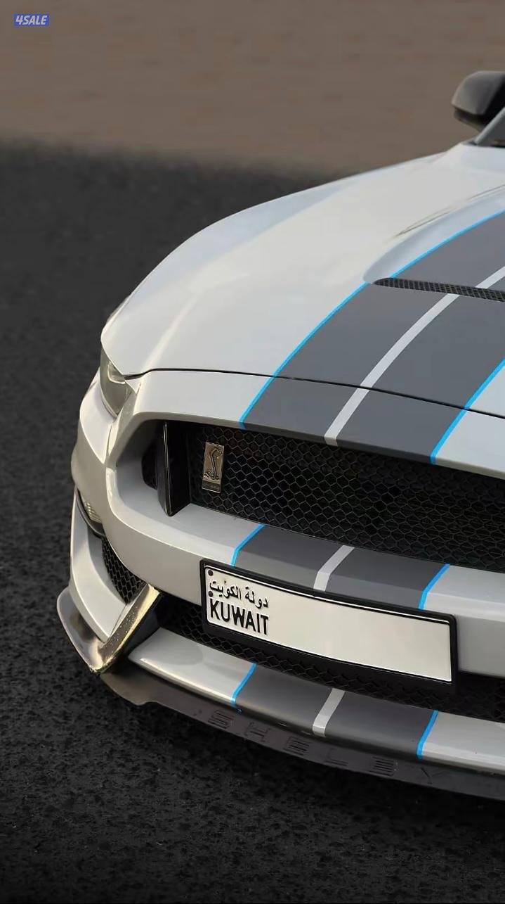 للبيع موستنق شلبي جي تي 3500