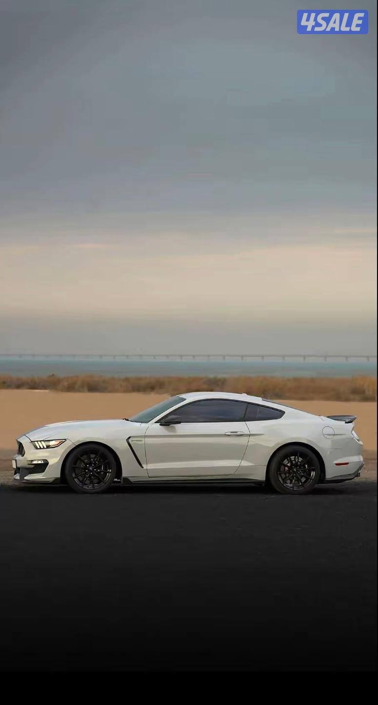 للبيع موستنق شلبي جي تي 3501