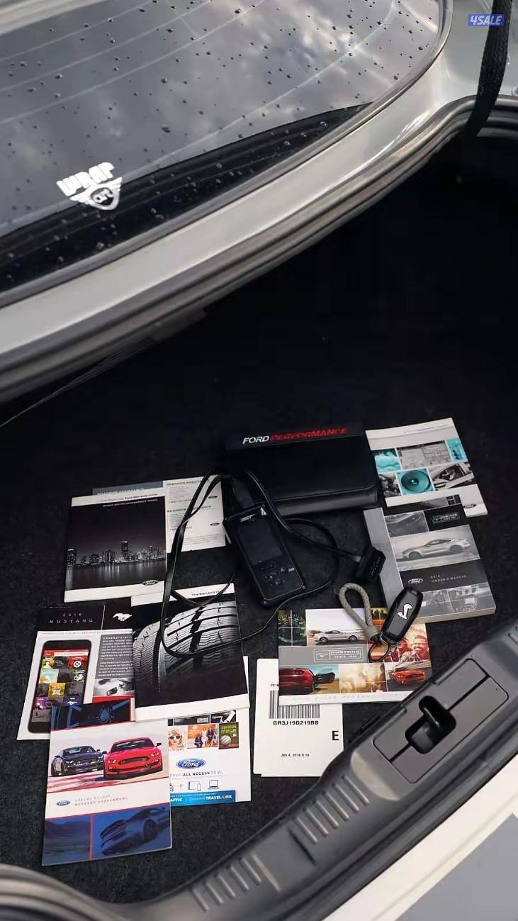 للبيع موستنق شلبي جي تي 3503