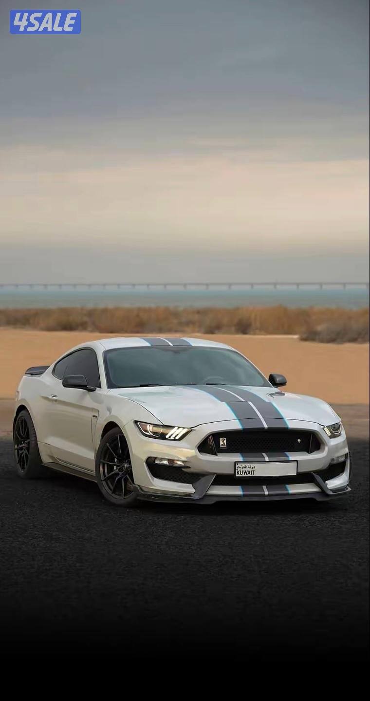 للبيع موستنق شلبي جي تي 3502