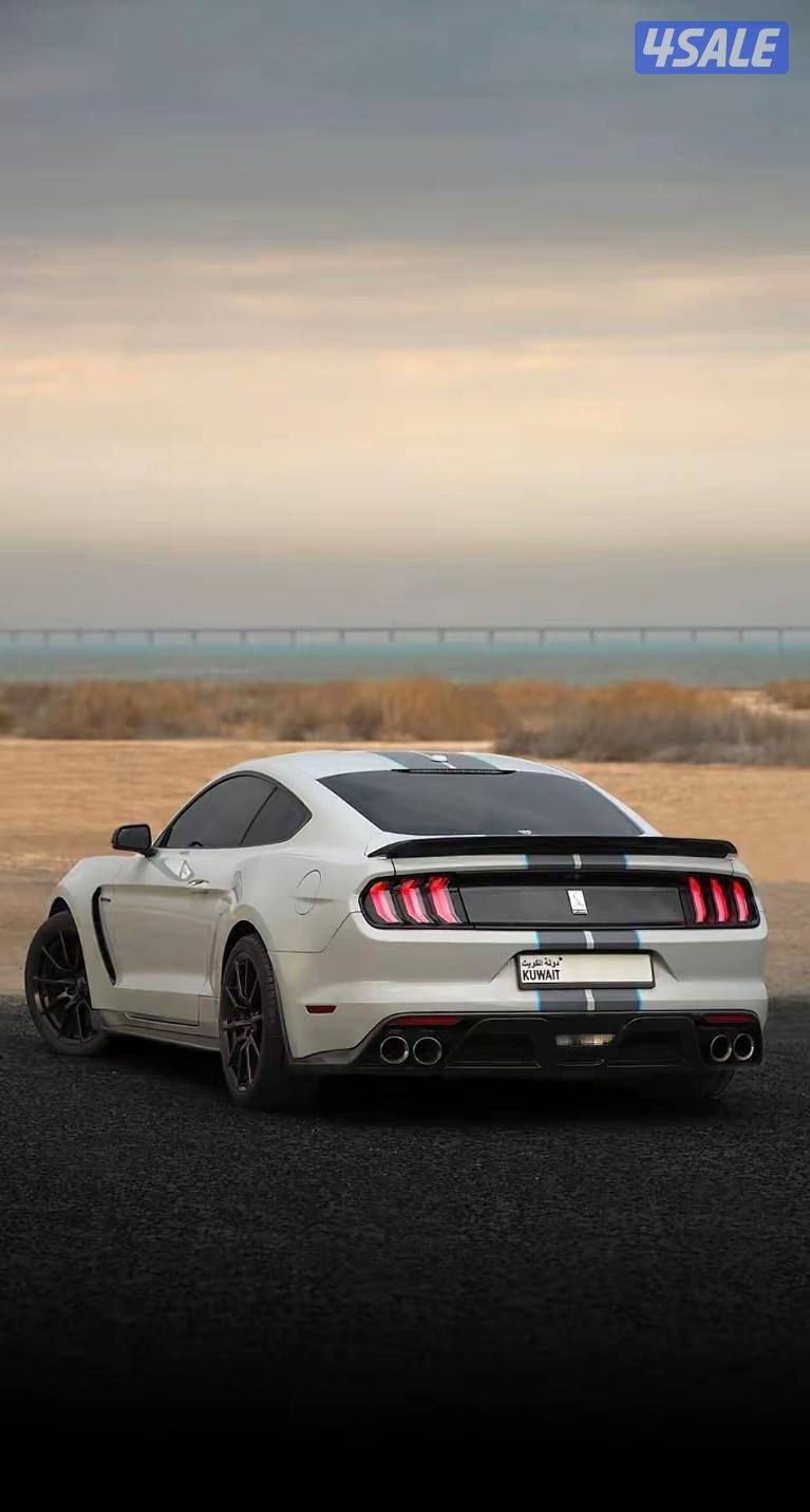 للبيع موستنق شلبي جي تي 3504