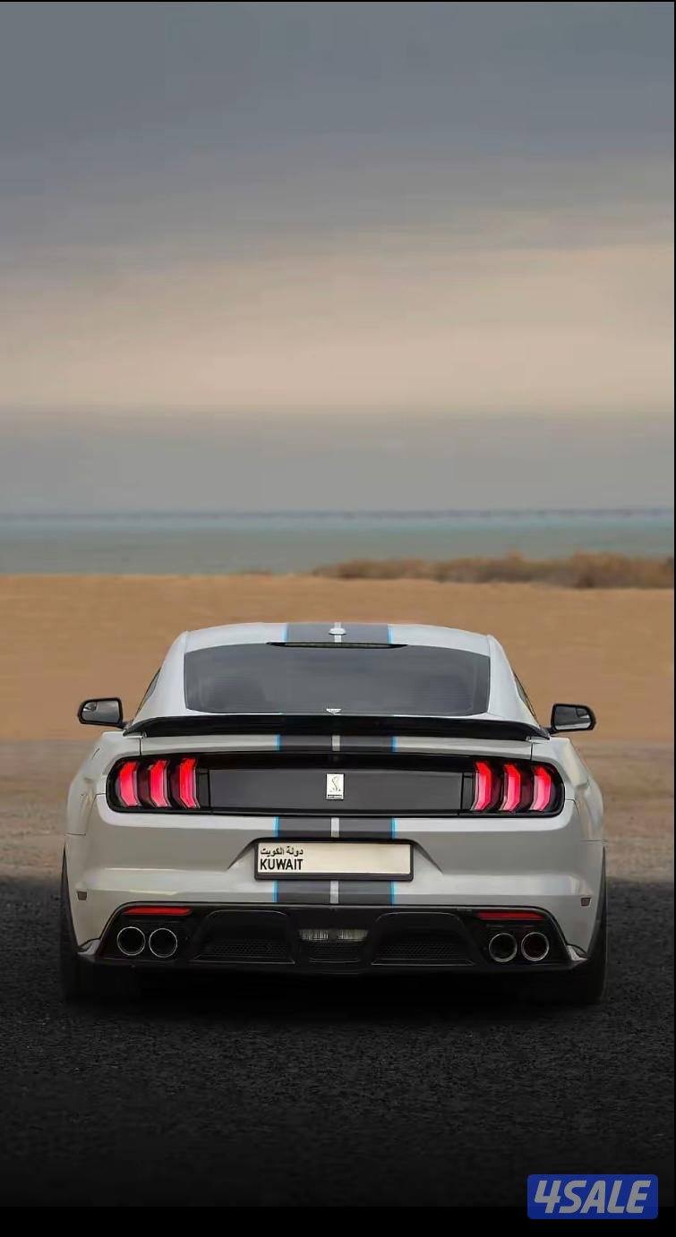 للبيع موستنق شلبي جي تي 3505