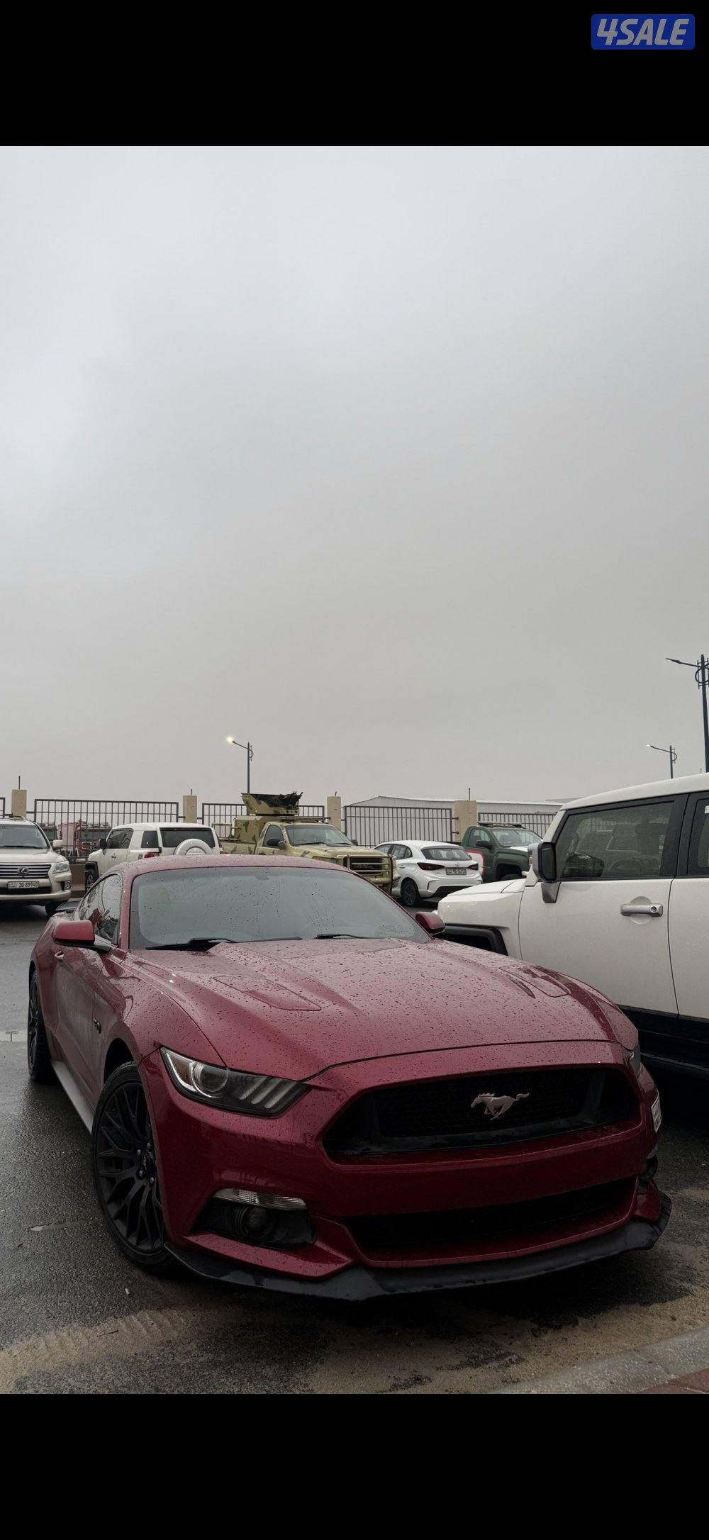 للبيع موستنق شرط الفحص3