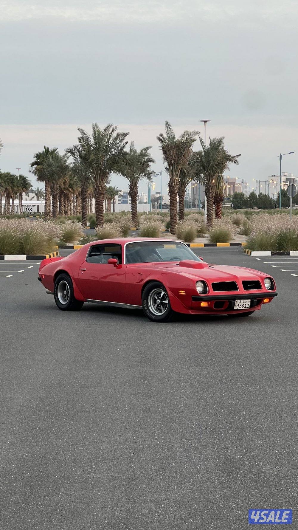 ترانز ام Trans am0