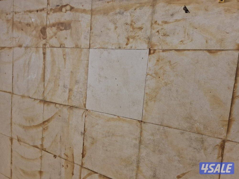 غسيل بالشامبو - تنظيف ناشف - غسيل سجاد برادي - اثاث - كنفات - شقق - فل5