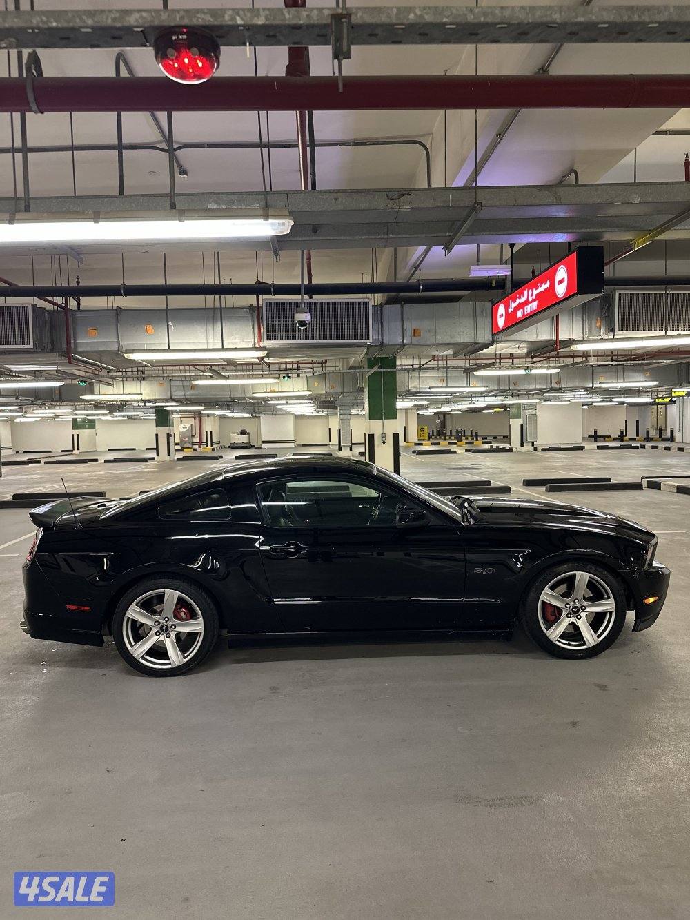 للبيع موستنق قير عادى 5.0 بحالة ممتازة4