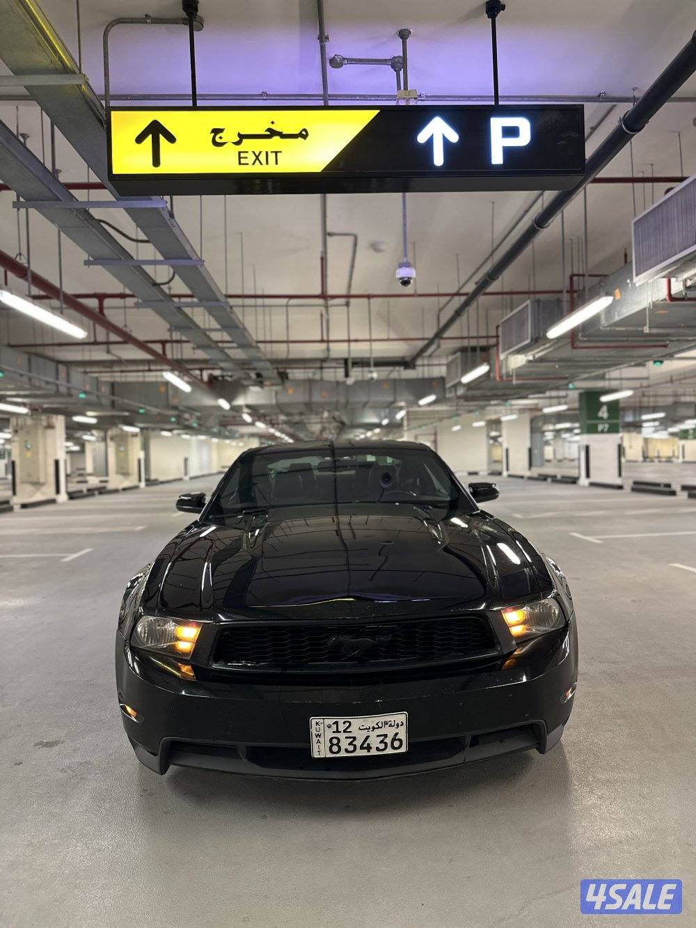 للبيع موستنق قير عادى 5.0 بحالة ممتازة8