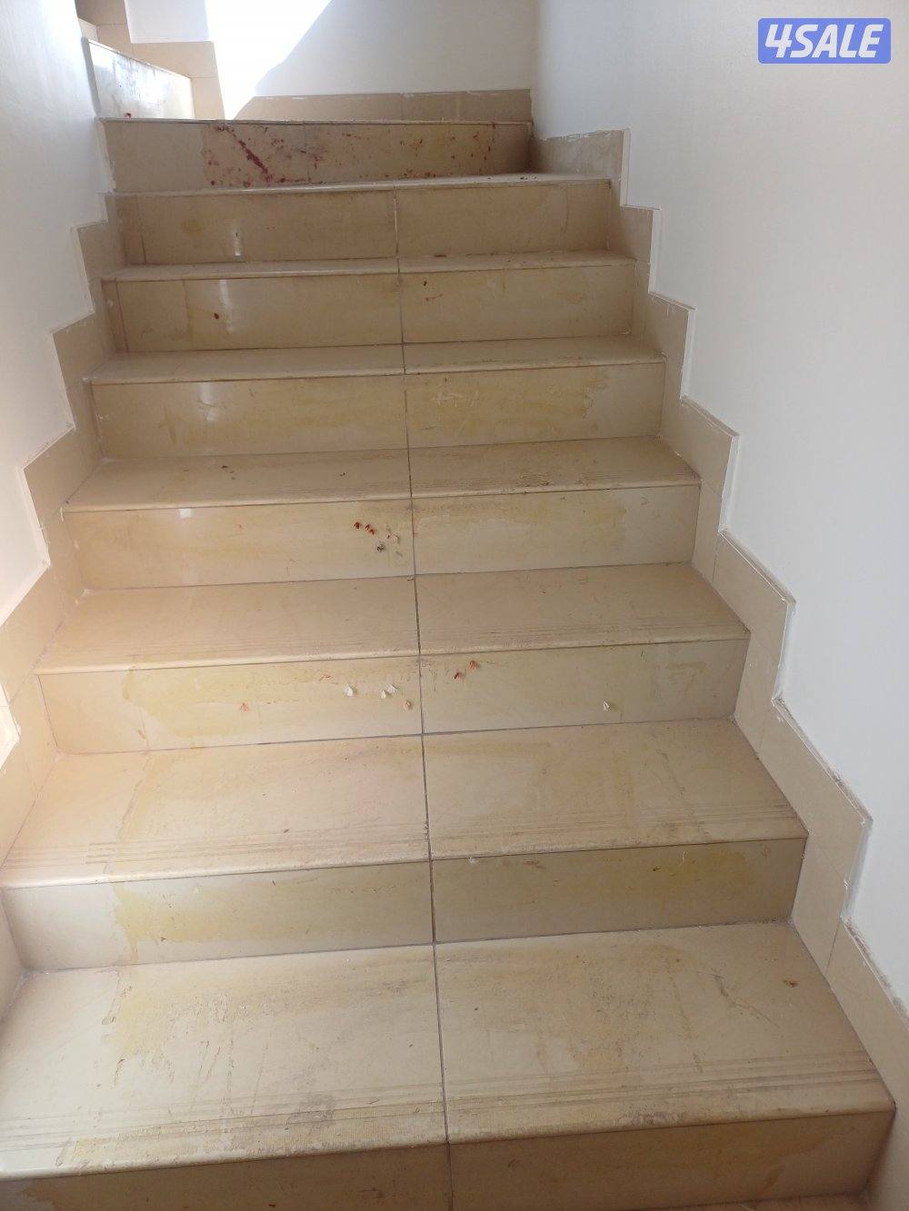 غسيل بالشامبو - تنظيف ناشف - غسيل سجاد برادي - اثاث - كنفات - شقق - فل11