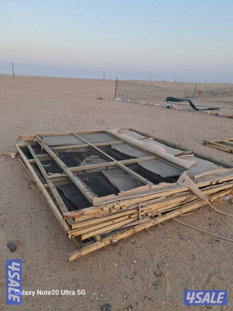 شبوك ابل عالي الجوده0