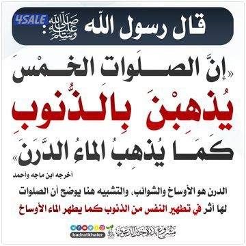 مدرس أول لغة انجليزية English1