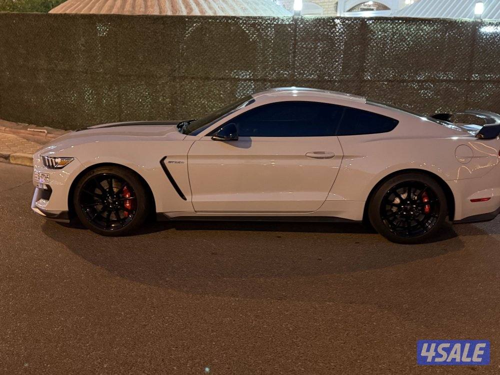 شلبي Shelby 3501