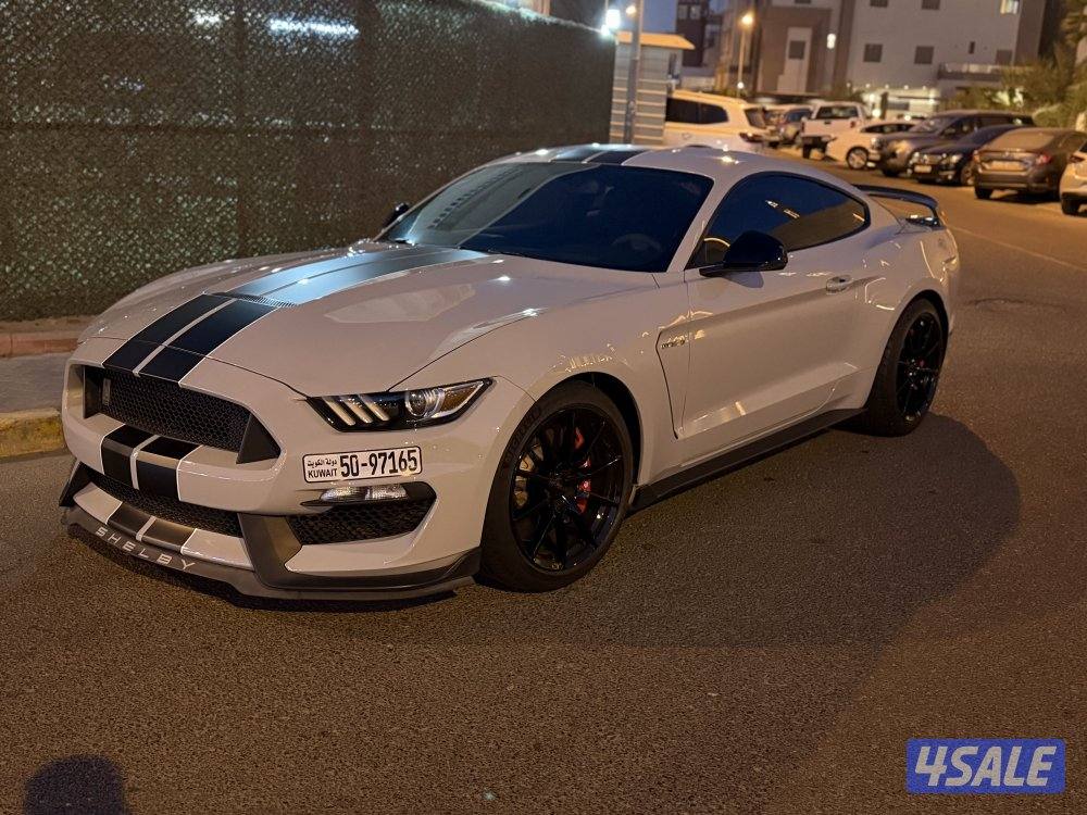 شلبي Shelby 3502