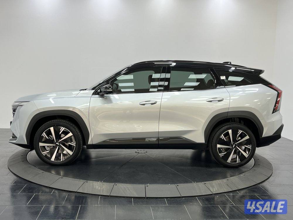 GEELY STARRAY Geely GEELY STARRAY 20242