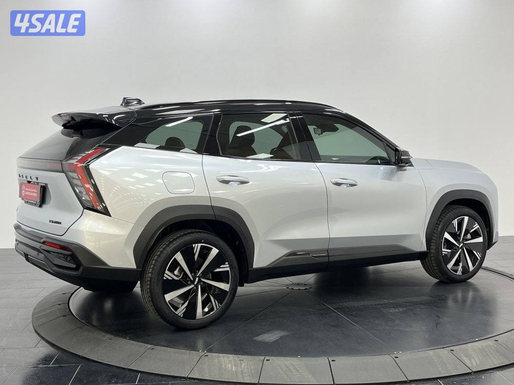 GEELY STARRAY Geely GEELY STARRAY 202414