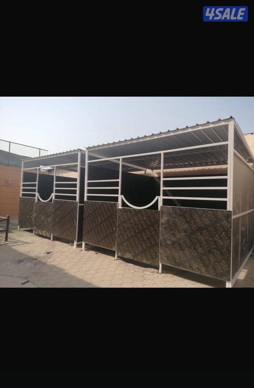 تفصال بنأجر خيل بادوك مصلب هنقر توصل وت ساب2