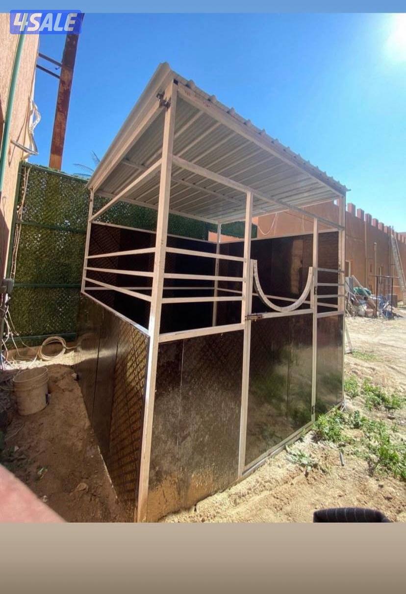 تفصال بنأجر خيل بادوك مصلب هنقر توصل وت ساب3