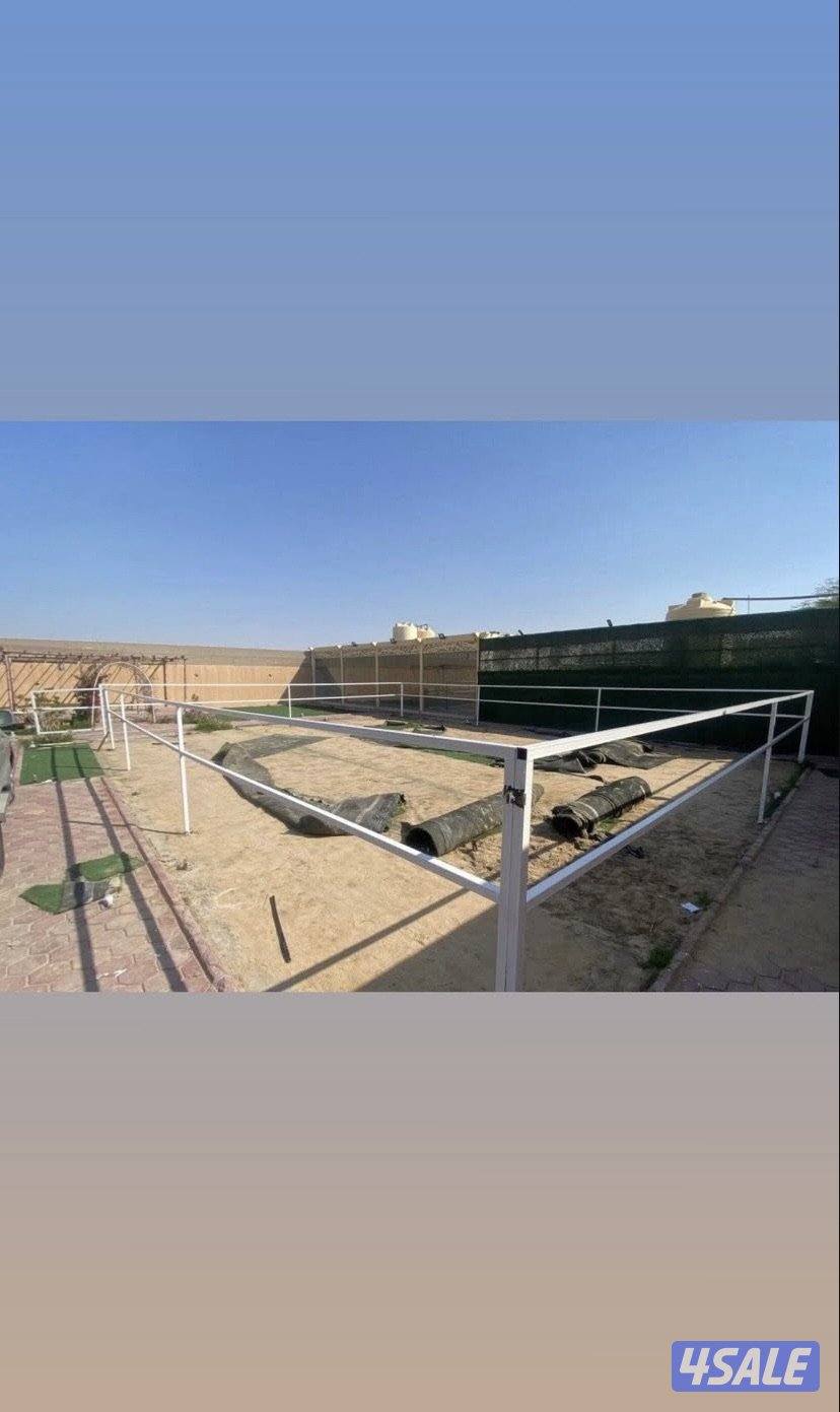 تفصال بنأجر خيل بادوك مصلب هنقر توصل وت ساب8